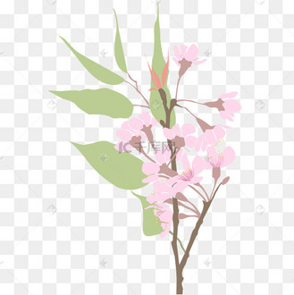 卡通手绘植物插画夹竹桃