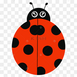 黄色圆弧七星瓢虫元素