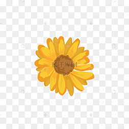 卡通大花图片-卡通大花图片素材免费下载-千库网