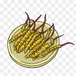 卡通手绘养生冬虫夏草