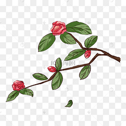 png下载psd山茶花矢量素材下载 png下载psd没有搜到合适的元素?
