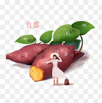 二十四节气白露立秋插画风红番薯png