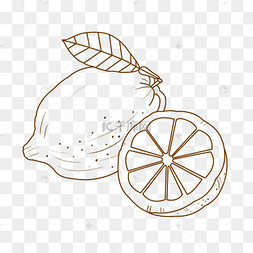 线描水果柠檬