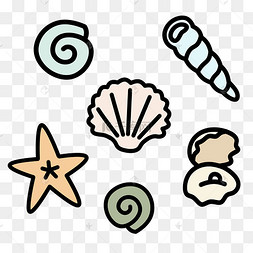 海星贝壳手绘