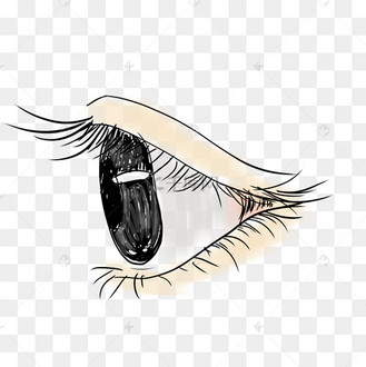侧面眼睛