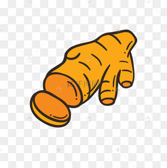 生姜矢量插画png