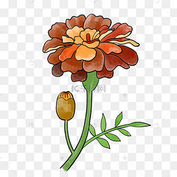 下载psd插画手绘美味蛋糕下载 png下载psd卡通手绘黄色金币盾牌下载