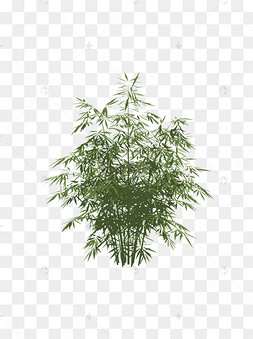 扁平简约手绘风绿色植物竹子竹林