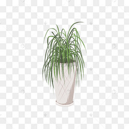 龙血树手绘装饰素材