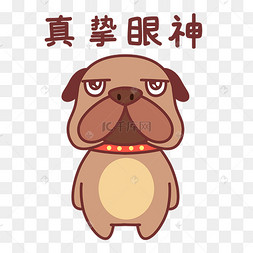 小狗真诚眼神表情包