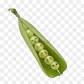 立秋手绘可爱四季豆
