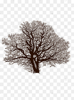下载 png下载psd卡通矢量黑白手绘插图树插画