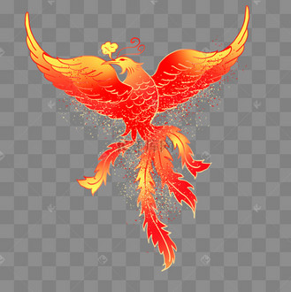 火凤凰金凤凰