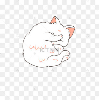白色猫咪蜷缩一团