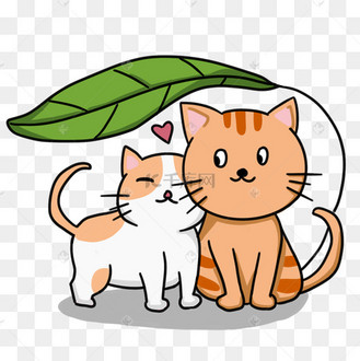 谈恋爱两只猫咪