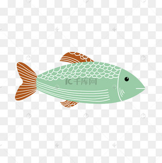 手绘简笔画的梭鱼