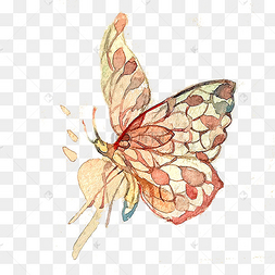 png下载psd矢量手绘发光蝴蝶下载 png下载ai蝴蝶翅膀水墨国画png下载
