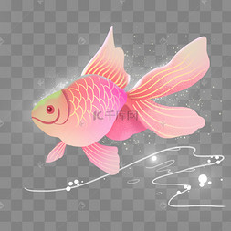 梦幻动物粉色金鱼