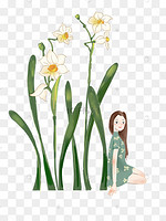 矢量手绘水仙花图片 矢量手绘水仙花图片素材免费下载 千库网