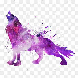 紫色的狼图片真实图片