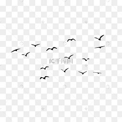 一群飞过的鸟中国风手绘花朵与鸟线描喜鹊鸟七夕创意鸟大鸟动物海鸥