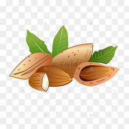 巴旦木养生食物插图