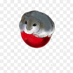 小仓鼠手绘