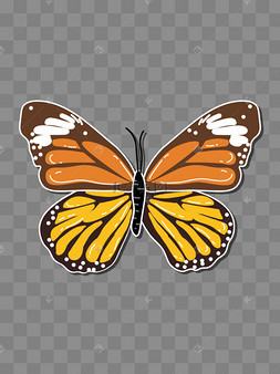 虎斑蝶标本扁平矢量图