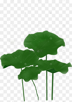 夏季绿色手绘精致荷叶png素材