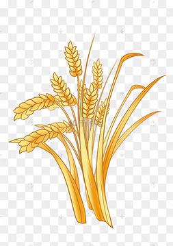 下载 png下载ai稻穗稻谷小麦大米下载 png下载ai卡通手绘吊着的云朵