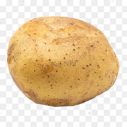 黄色椭圆土豆