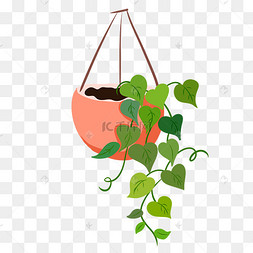 绿萝绿色植物插画