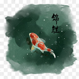 手绘水彩锦鲤插画