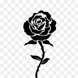 黑色玫瑰花手绘