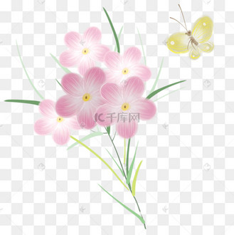 粉色花和菜粉蝶