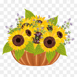 菊花花篮装饰png免费下载