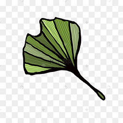 大片叶子插画