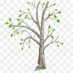 春夏大树树叶绿色手绘插画免扣元素