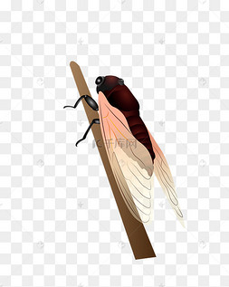 卡通的蝉图片-卡通的蝉图片素材免费下载-千库网