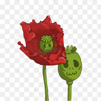 国际禁毒日手绘恐怖罂粟生骷髅