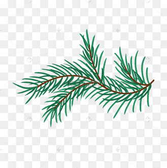 松枝植物卡通手绘插画