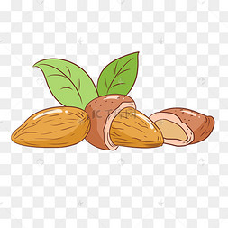坚果扁桃仁的插画中药薏仁实物插图免抠散装农家意米仁