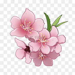 桃花花瓣卡通