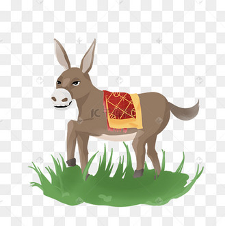 吃草动物毛驴