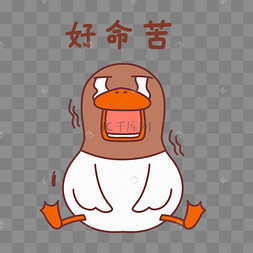 小鸭好命苦表情包