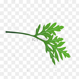 艾草的小女孩矢量边框免抠图艾草叶子艾草png手绘新款工笔画国画端午