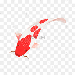 手绘粉色线条鲤鱼