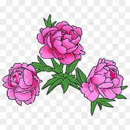 卡通水彩牡丹花图片-卡通水彩牡丹花图片素材免费下载-千库网