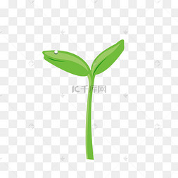 嫩芽的图片-嫩芽的图片素材免费下载-千库网
