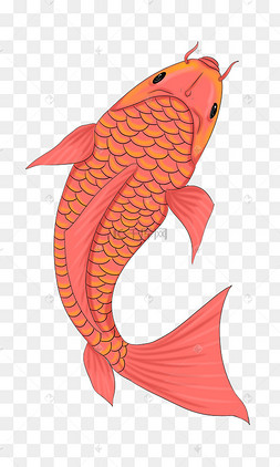 矢量图鱼红色